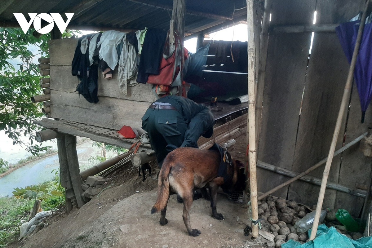 Hàng trăm người tham gia vây bắt đối tượng giết người trên đồi cao su tại Lai Châu-2