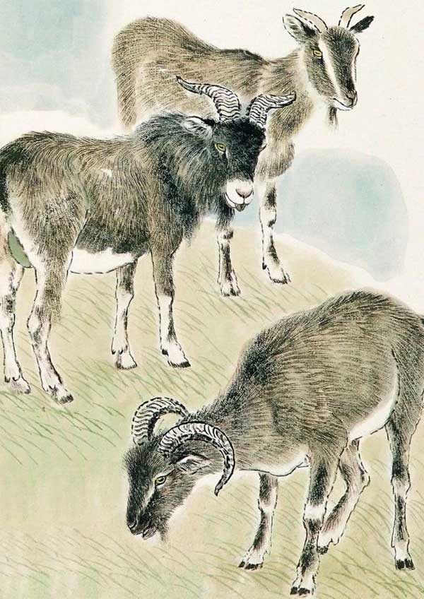 Tết này không lo thiếu tiền tiêu: 3 tuổi tiền vào như nước, cuộc sống sung túc, năm mới ấm no-2