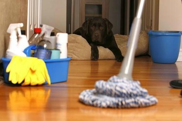 Sau Tết tủ lạnh bốc mùi khó chịu, làm cách này sẽ hết mùi hôi và vết bẩn-4