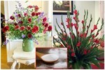 Thêm một thìa này vào bình cắm hoa, dù chơi hết Tết hoa vẫn tươi rực rỡ, chẳng bị úa tàn