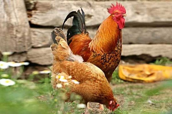 3 tháng đầu năm 2023: 4 tuổi này nhận lộc trời ban, làm gì cũng ‘hái ra tiền’