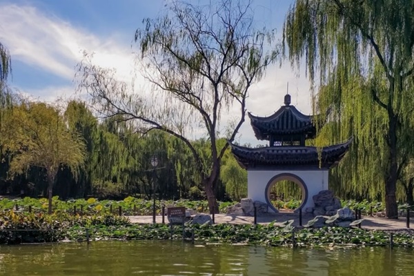 6 cây cảnh ‘chuyển vận’, cầu may mắn nên bày trong nhà dịp Tết Nguyên đán-4