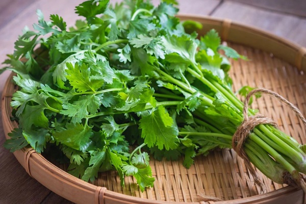 Loại rau gia vị của người Việt được người Nhật ăn nhiều vì vừa ngon vừa bổ dưỡng-1