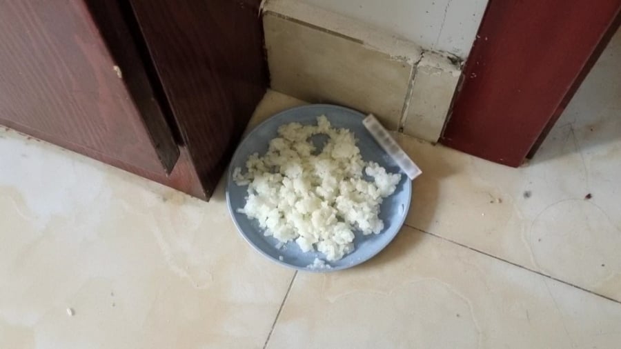 Trộn cơm nguội với thứ rồi đặt ở góc nhà: Gián chạy mất dép, một đi không trở lại-3