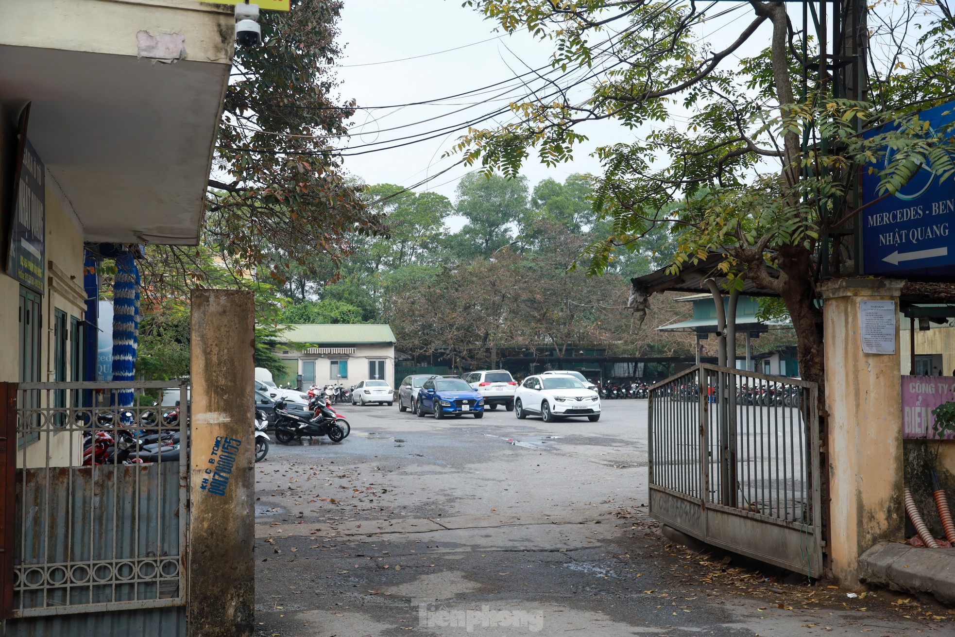 Khổ như đi đăng kiểm: Bà bầu mệt mỏi xếp hàng 5 ngày chưa tới lượt-9