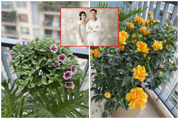 Nhà 400 m2 có vườn cây, hồ cá bên trong-13