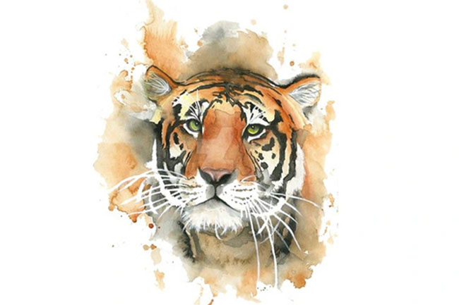 Tử vi tuổi Dần năm 2023: Tài lộc đang từng bước tăng cao, vận đào hoa không ngừng-1