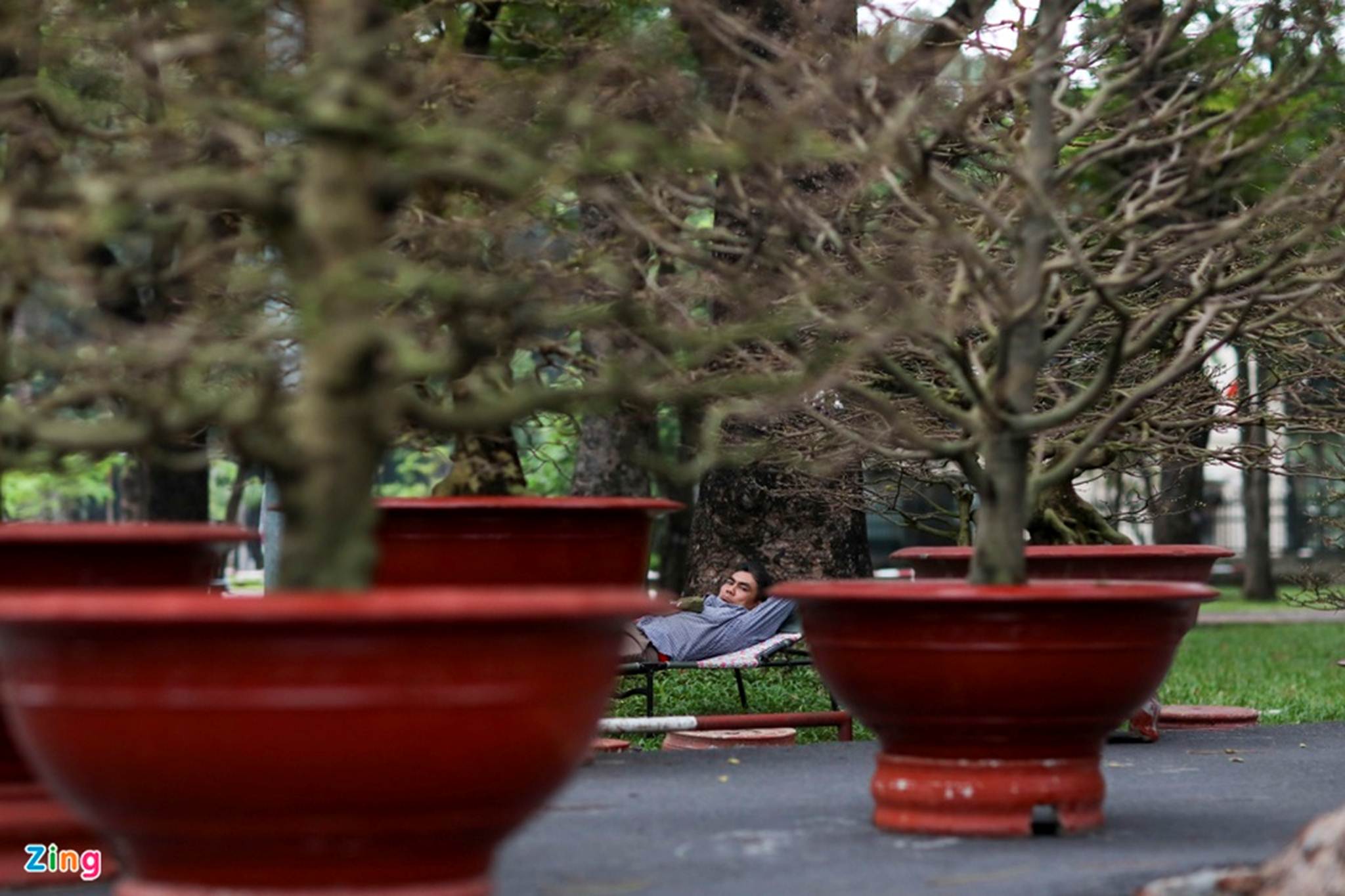 Chợ hoa Tết tại TP.HCM đìu hiu vì không nhập được hàng-5