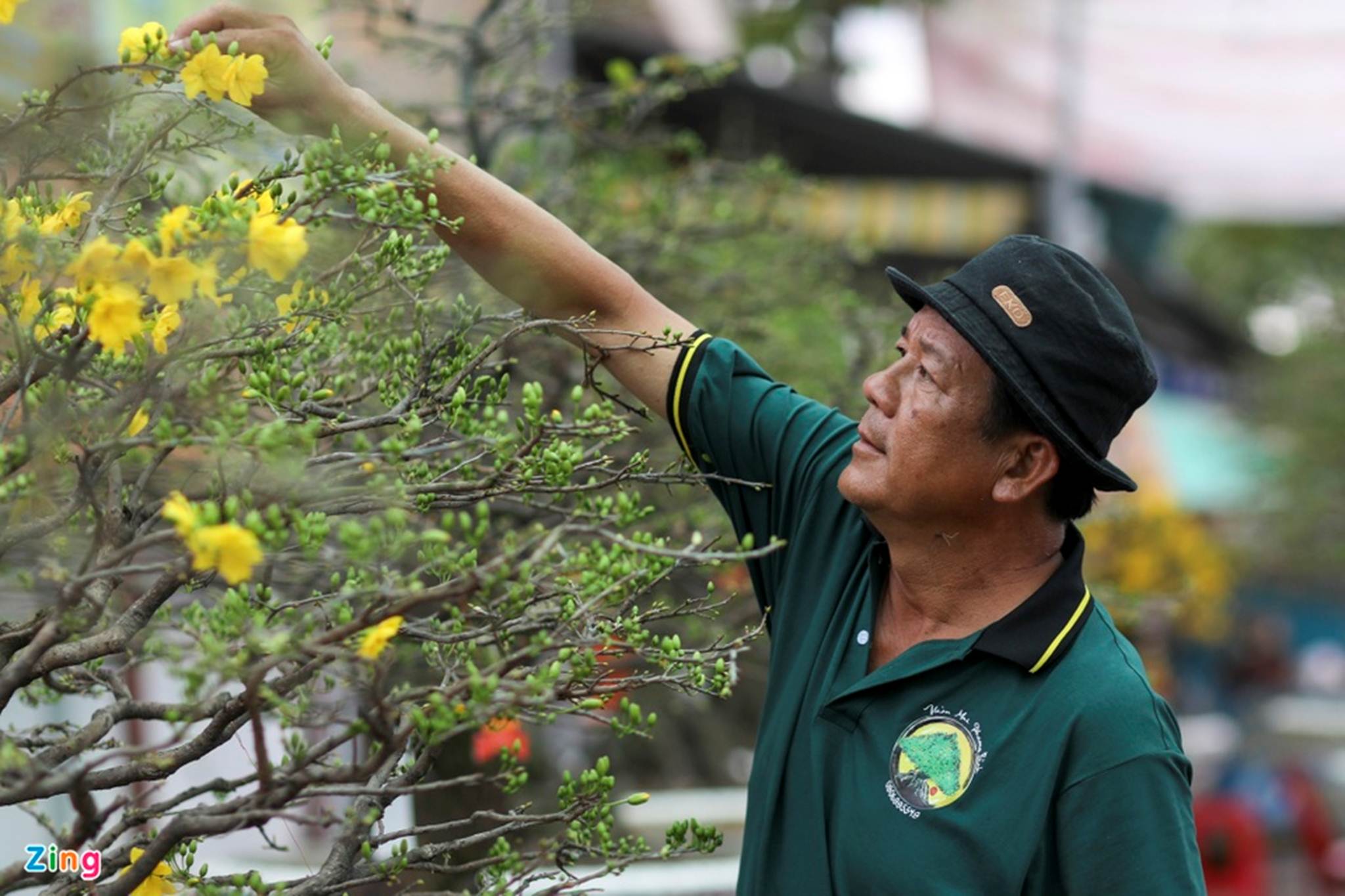 Chợ hoa Tết tại TP.HCM đìu hiu vì không nhập được hàng-8