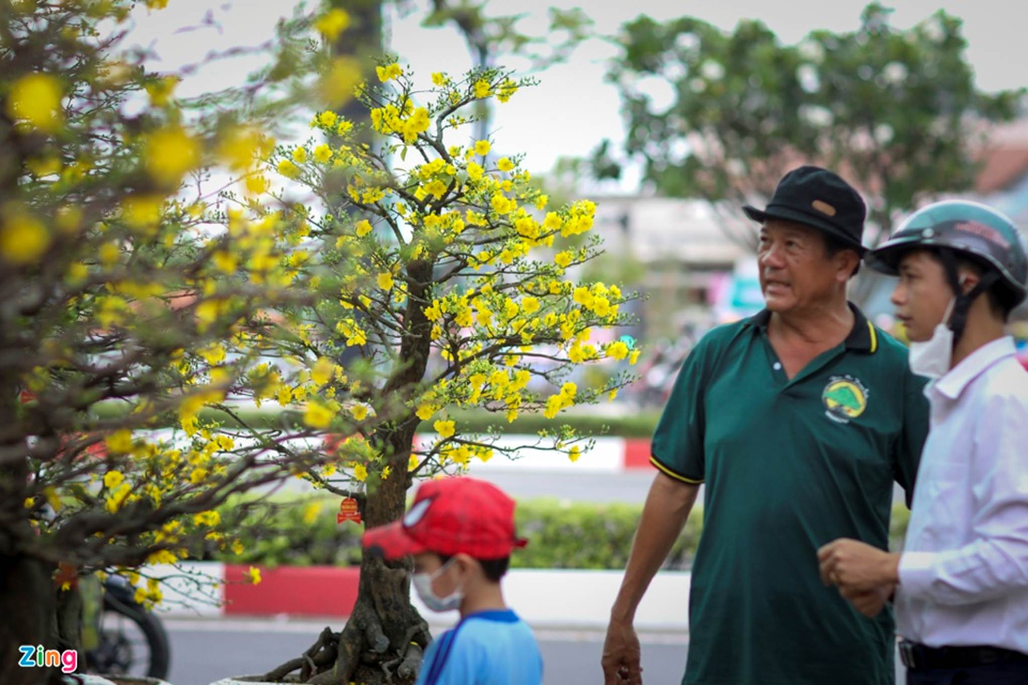 Chợ hoa Tết tại TP.HCM đìu hiu vì không nhập được hàng-9