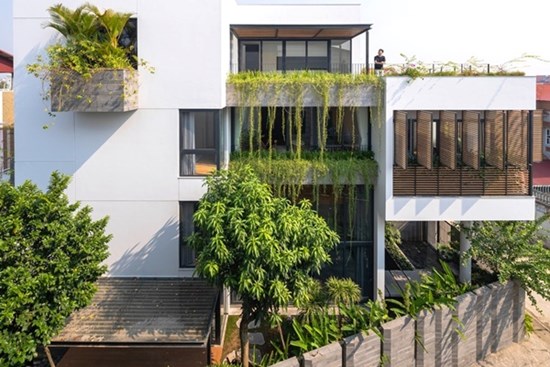 Nhà 400 m2 có vườn cây, hồ cá bên trong