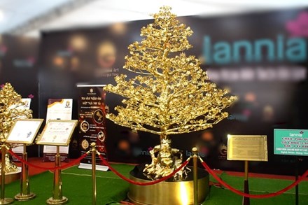 Chiêm ngưỡng cây mai được mạ 121 chỉ vàng, trị giá 5,5 tỷ ở Hà Nội