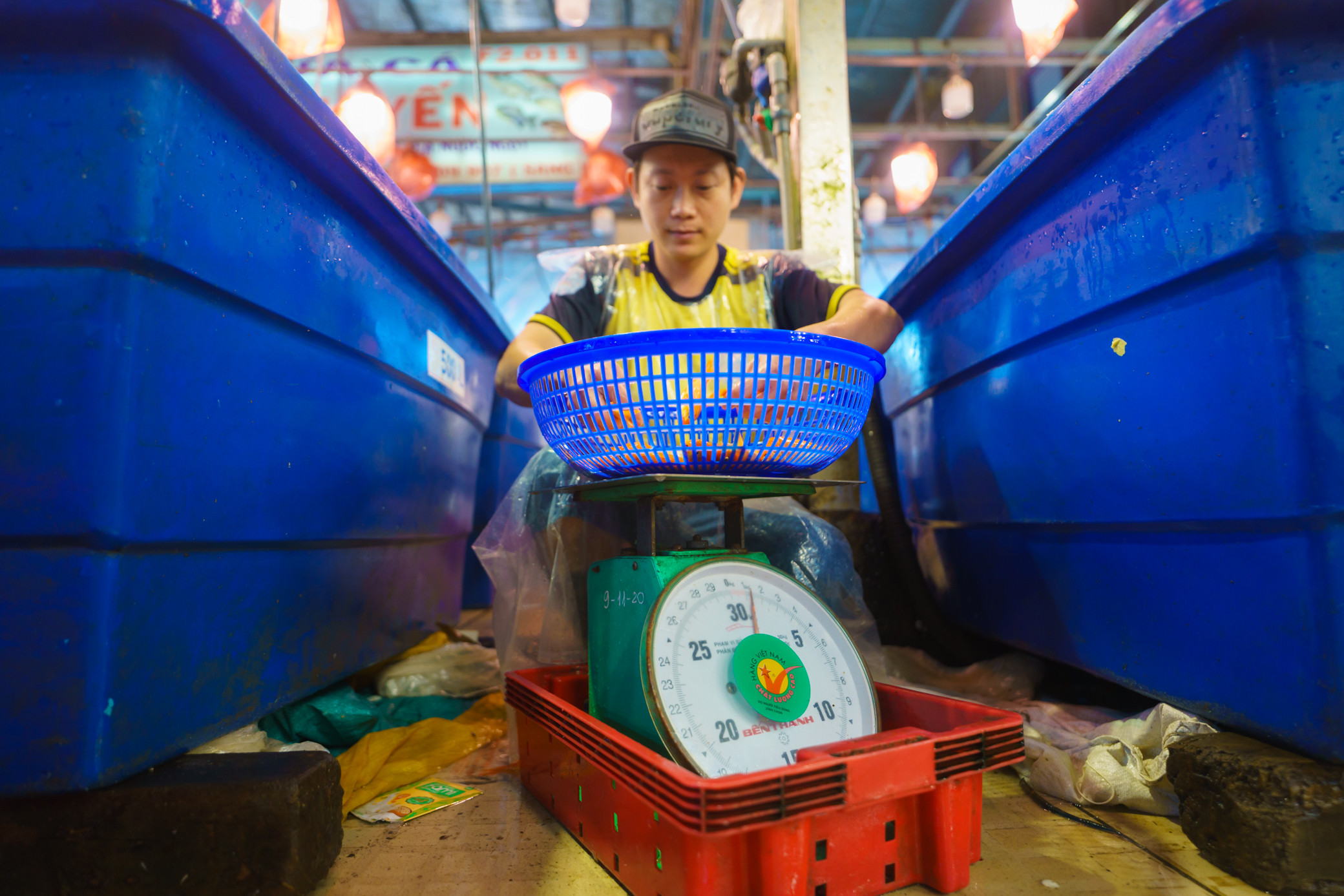 Chợ cá chép lớn nhất TP.HCM nhộn nhịp về đêm-11