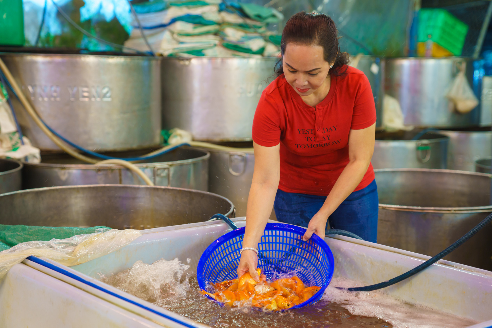 Chợ cá chép lớn nhất TP.HCM nhộn nhịp về đêm-5