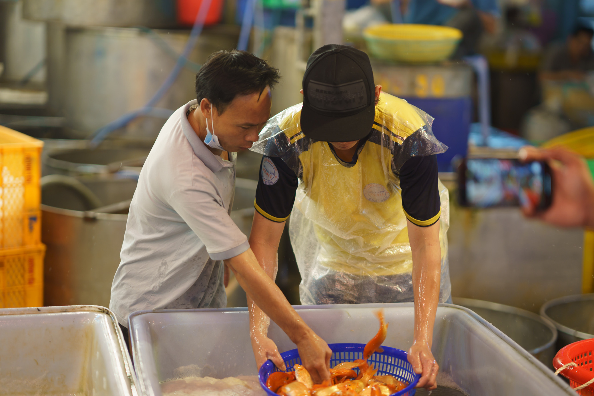 Chợ cá chép lớn nhất TP.HCM nhộn nhịp về đêm-9