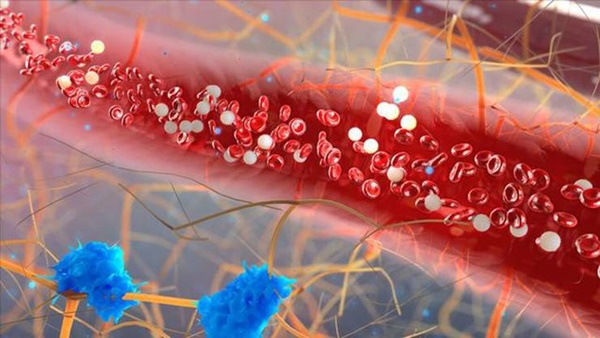 Đau ngực chưa hẳn là đau tim nhưng 4 căn bệnh gây đau tức ngực này cần phải cảnh giác-9