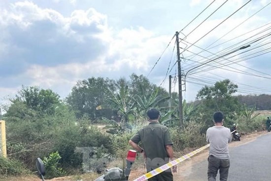 Phát hiện hai nam thanh niên tử vong trong bụi cây ven đường