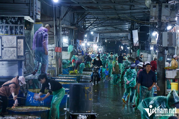 Gà cúng ngậm hoa hồng ở chợ nhà giàu giá hơn 500.000 đồng/con vẫn hút khách-3