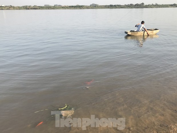Hà Nội: Cúng ông Táo, 9 con cá chép vừa thả xuống sông bị thả lưới bắt lại 8 con-10
