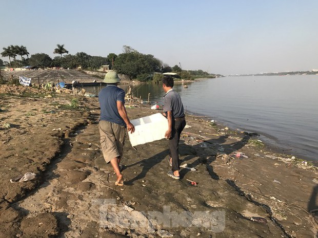 Hà Nội: Cúng ông Táo, 9 con cá chép vừa thả xuống sông bị thả lưới bắt lại 8 con-9