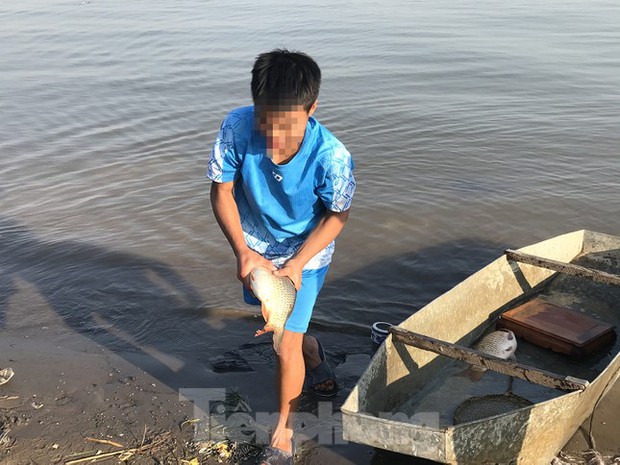 Hà Nội: Cúng ông Táo, 9 con cá chép vừa thả xuống sông bị thả lưới bắt lại 8 con-4