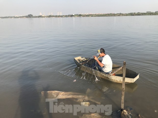Hà Nội: Cúng ông Táo, 9 con cá chép vừa thả xuống sông bị thả lưới bắt lại 8 con-2