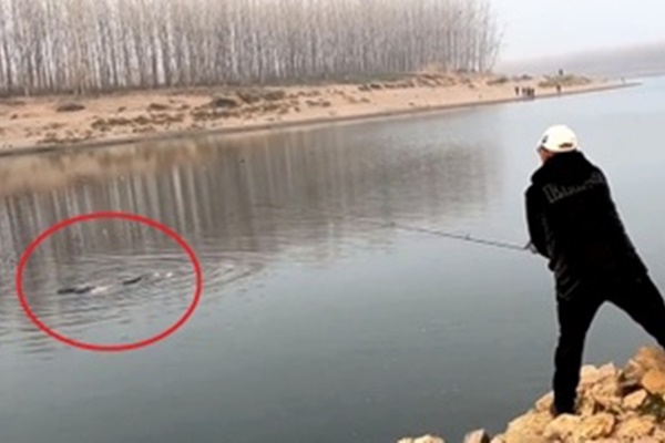 Bé 3 tuổi tử vong sau khi ngã vào hồ cá ở quán cà phê-2