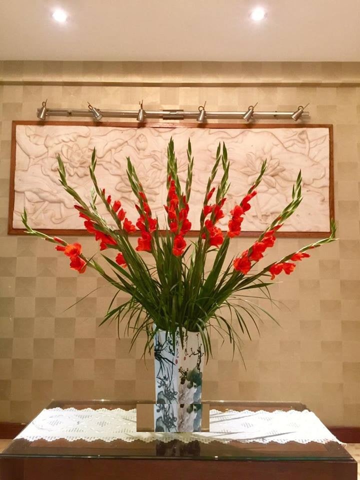 Cắm hoa lay ơn cứ thêm vài giọt này, hoa nở đều, chơi hết Tết vẫn tươi rói-9