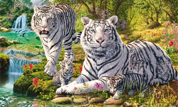 Phật Tổ dẫn đường: 3 con giáp gặp dữ hóa lành, sau Tết Nguyên đán bội thu tài lộc-3