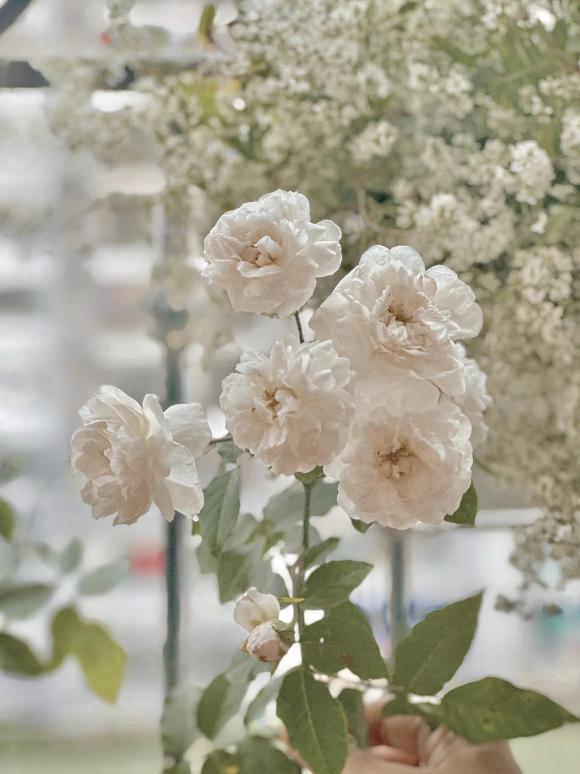 Khoảng ban công đầy hoa trong căn hộ của Đan Lê và chồng đạo diễn-3