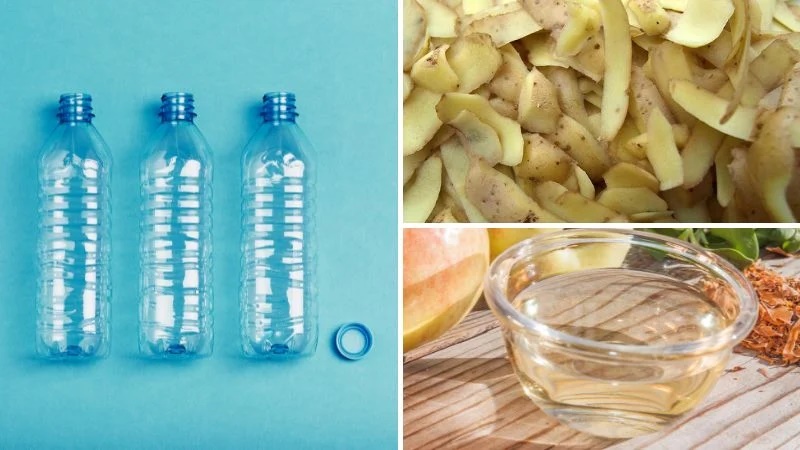 Rắc một nắm ‘tiên dược’ này vào chậu cây, lá cả năm không vàng, mầm xanh bật ra-2