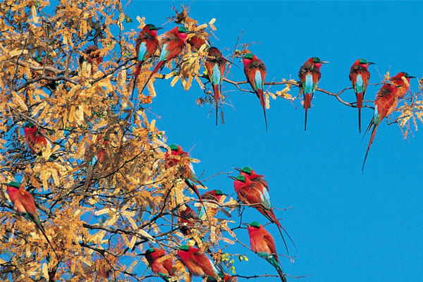 Đúng hôm nay 17/1: Ngọc Hoàng ban lộc 4 con giáp đứng trên núi tiền sắm Tết thả ga, 1 tuổi xui xẻo-3