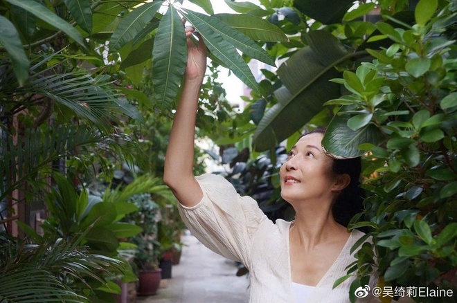 Mối quan hệ bế tắc giữa con gái Thành Long và Hoa hậu Ngô Ỷ Lợi-3