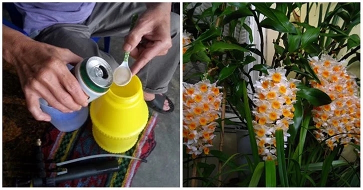 Tết uống bia còn thừa đừng vội đổ đi, gom lại làm việc này ai cũng khen nức nở-3