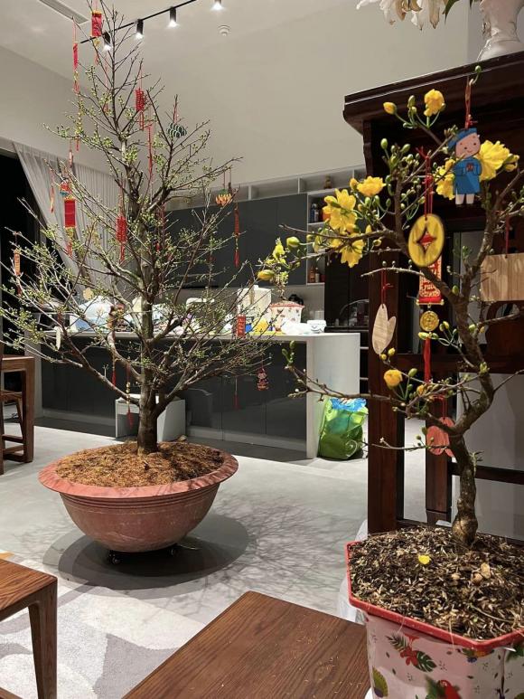 Diễm Châu cùng các con trang trí penthouse rực rỡ đón Tết, có hẳn chỗ chụp ảnh sống ảo-3