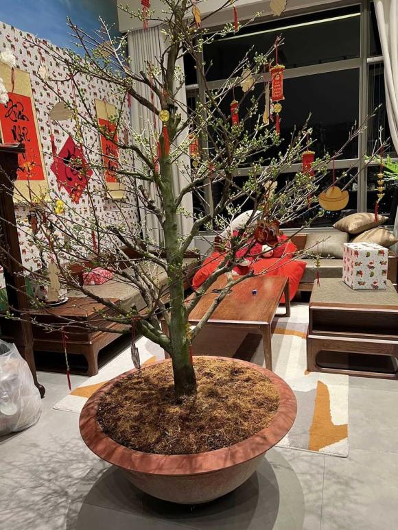 Diễm Châu cùng các con trang trí penthouse rực rỡ đón Tết, có hẳn chỗ chụp ảnh sống ảo-4