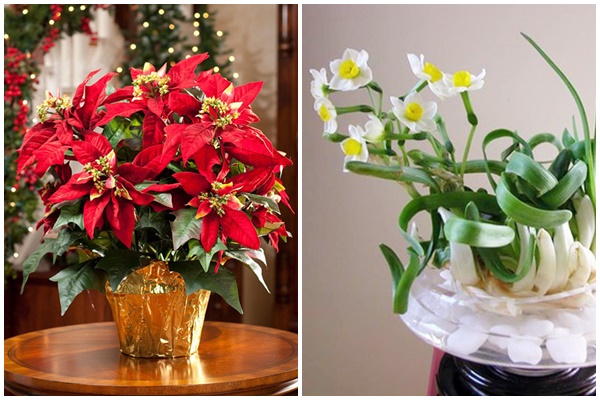 Cách bài trí căn bếp và những lưu ý khi nấu nướng khai xuân để có năm mới cát tường-1