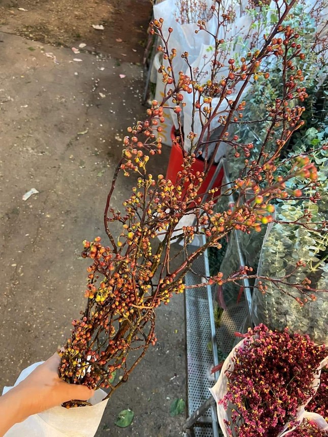 Những cành đào mới lạ đang sốt chợ Tết-2