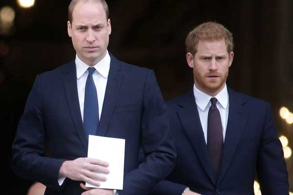 William lo lắng khi Vua Charles nhượng bộ Harry-3