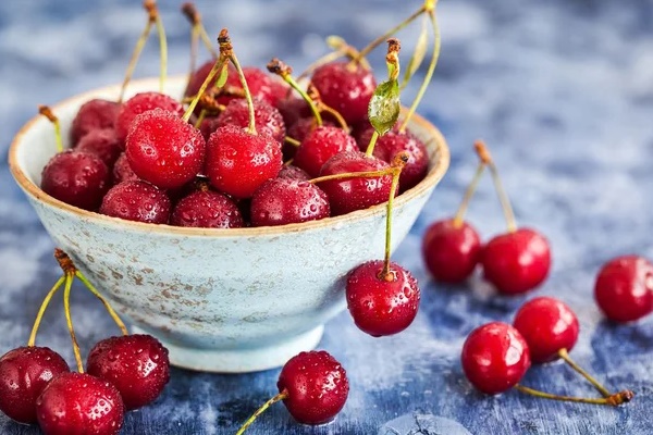 Công dụng chữa bệnh thần kỳ của ngải cứu nhưng ít người biết đến-2