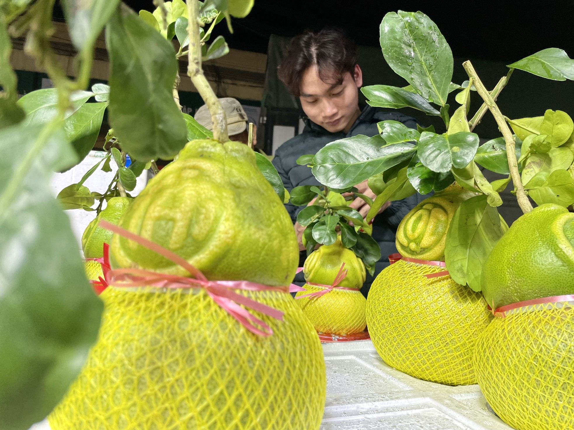 Dưa kim cô nương thư pháp, bưởi thỏi vàng, hồ lô độc lạ đổ bộ Hà Nội-6