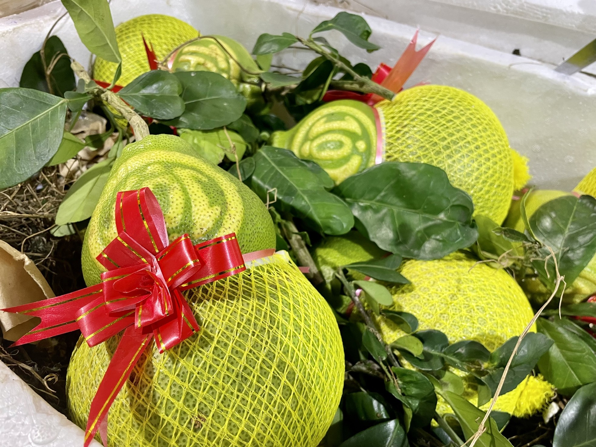 Dưa kim cô nương thư pháp, bưởi thỏi vàng, hồ lô độc lạ đổ bộ Hà Nội-7