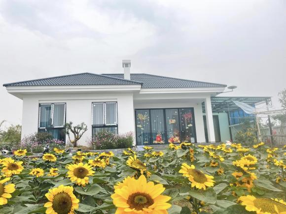 Cặp vợ chồng xây nhà tặng mẹ ở Thái Bình, phủ kín vườn bằng hoa hướng dương cực đẹp-2