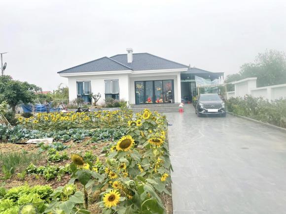 Cặp vợ chồng xây nhà tặng mẹ ở Thái Bình, phủ kín vườn bằng hoa hướng dương cực đẹp-4