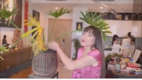 Không gian sống của Thanh Hà - Phương Uyên: Trang trí đơn giản, nhiều cây xanh-9