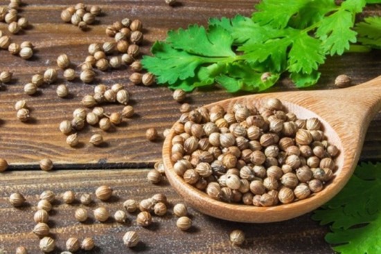 Không chỉ đề tắm, hạt rau mùi hóa ra còn có những công dụng sức khỏe tuyệt vời