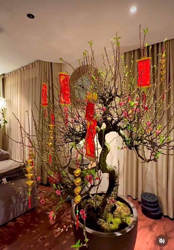 Không chỉ Sài Gòn, Lệ Quyên cũng chuẩn bị tươm tất cho biệt thự tại Hà Nội với độ sang trọng gây choáng-8