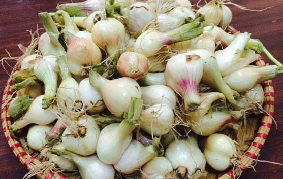 Làm hành muối ngày Tết chỉ cần làm theo cách này hành muối trắng giòn ăn không bị hăng, không thâm đen-1