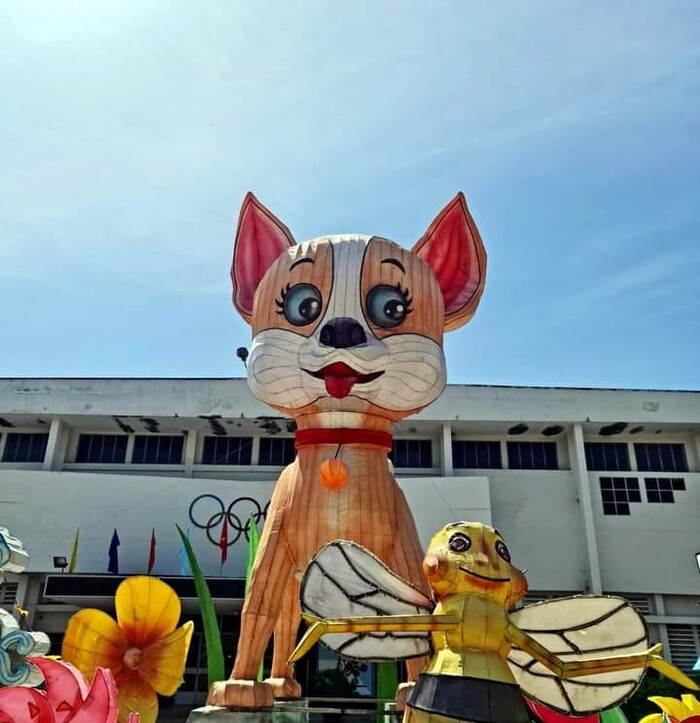 Mèo linh vật ở Bình Thuận trình làng nhưng dân mạng khẳng định đây là chó và sự thật phía sau-1