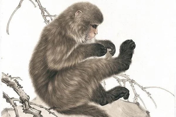 Đúng 20/1, 3 con giáp hốt lộc trời, tài vận lên hương giàu to đón Tết-4